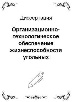 Диссертация: Организационно-технологическое обеспечение жизнеспособности угольных разрезов Кузбасса при переходе к рыночным отношениям