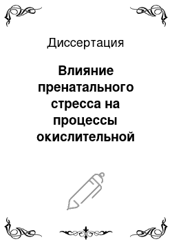 Диссертация: Влияние пренатального стресса на процессы окислительной модификации белков и активность Zn-Cu-супероксиддисмутазы в головном мозге крыс