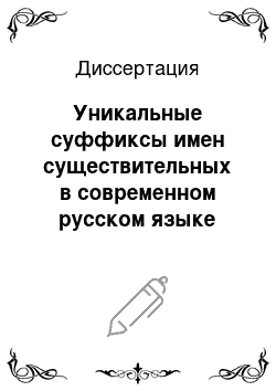 Диссертация: Уникальные суффиксы имен существительных в современном русском языке