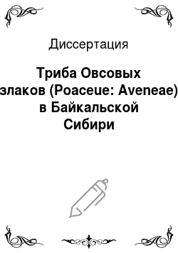 Диссертация: Триба Овсовых злаков (Poaceue: Aveneae) в Байкальской Сибири