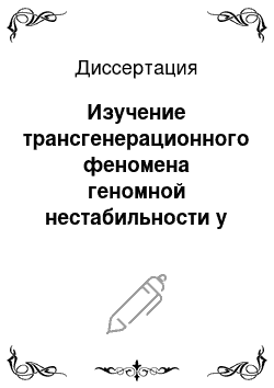 Диссертация: Изучение трансгенерационного феномена геномной нестабильности у детей-потомков облученных родителей в результате аварии на ЧАЭС