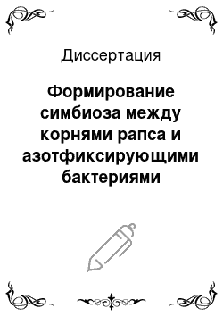 Диссертация: Формирование симбиоза между корнями рапса и азотфиксирующими бактериями