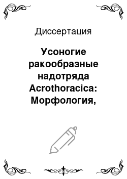 Диссертация: Усоногие ракообразные надотряда Acrothoracica: Морфология, биология, эволюция, филогения и систематика