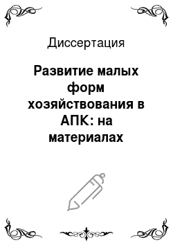 Диссертация: Развитие малых форм хозяйствования в АПК: на материалах Пермского края