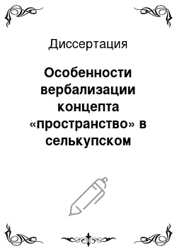 Диссертация: Особенности вербализации концепта «пространство» в селькупском языке в сопоставлении с русским