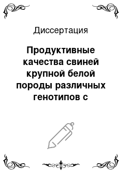 Диссертация: Продуктивные качества свиней крупной белой породы различных генотипов с разной стрессустойчивостью