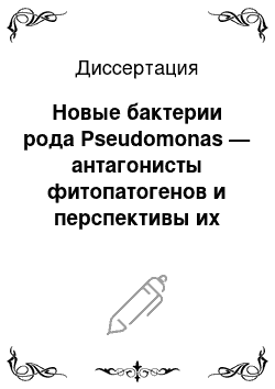 Диссертация: Новые бактерии рода Pseudomonas — антагонисты фитопатогенов и перспективы их использования в сельскохозяйственной практике