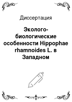 Диссертация: Эколого-биологические особенности Hippophae rhamnoides L. в Западном Забайкалье