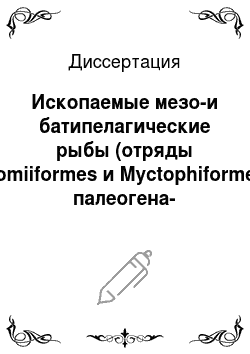 Диссертация: Ископаемые мезо-и батипелагические рыбы (отряды Stomiiformes и Myctophiformes) палеогена-неогена России и сопредельных территорий