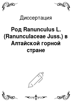 Диссертация: Род Ranunculus L. (Ranunculaceae Juss.) в Алтайской горной стране