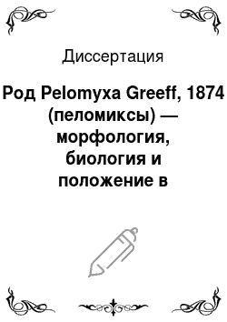 Диссертация: Род Pelomyxa Greeff, 1874 (пеломиксы) — морфология, биология и положение в системе эукариот