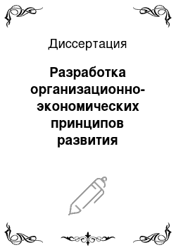 Диссертация: Разработка организационно-экономических принципов развития нефтяных компаний