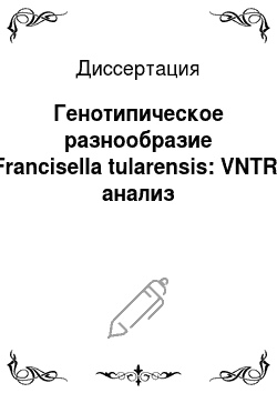 Диссертация: Генотипическое разнообразие Francisella tularensis: VNTR-анализ