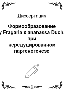 Диссертация: Формообразование у Fragaria x ananassa Duch. при нередуцированном партеногенезе