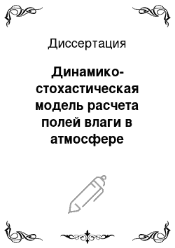 Диссертация: Динамико-стохастическая модель расчета полей влаги в атмосфере