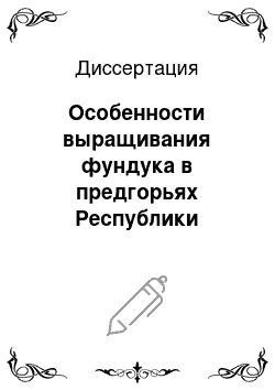 Диссертация: Особенности выращивания фундука в предгорьях Республики Адыгея