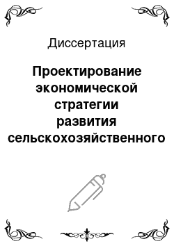 Диссертация: Проектирование экономической стратегии развития сельскохозяйственного производства на региональном уровне