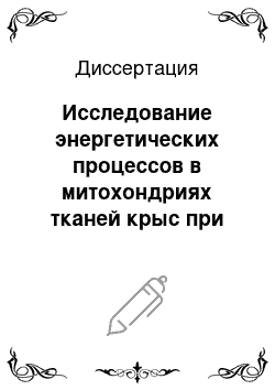 Диссертация: Исследование энергетических процессов в митохондриях тканей крыс при гипотермии