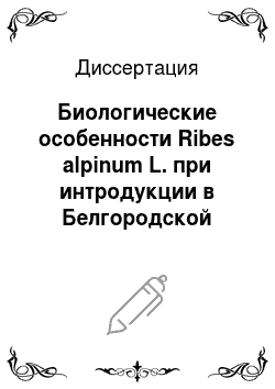 Диссертация: Биологические особенности Ribes alpinum L. при интродукции в Белгородской области