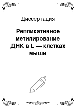 Диссертация: Репликативное метилирование ДНК в L — клетках мыши