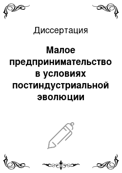 Диссертация: Малое предпринимательство в условиях постиндустриальной эволюции национальной экономики