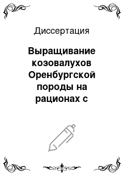 Диссертация: Выращивание козовалухов Оренбургской породы на рационах с белково-витаминно-минеральными добавками