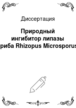 Диссертация: Природный ингибитор липазы гриба Rhizopus Microsporus