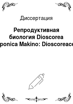 Диссертация: Репродуктивная биология Dioscorea nipponica Makino: Dioscoreaceae