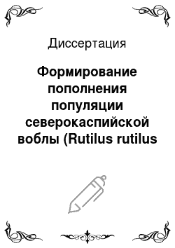 Диссертация: Формирование пополнения популяции северокаспийской воблы (Rutilus rutilus caspicus (Jakovlev, 1870) ) в современных условиях