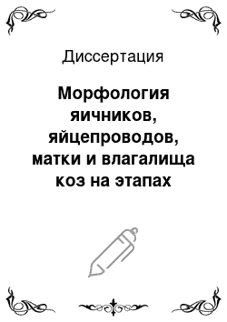 Диссертация: Морфология яичников, яйцепроводов, матки и влагалища коз на этапах постнатального онтогенеза