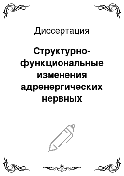 Диссертация: Структурно-функциональные изменения адренергических нервных сплетений миокарда и мозгового вещества надпочечников при острых артериальных гипертензиях