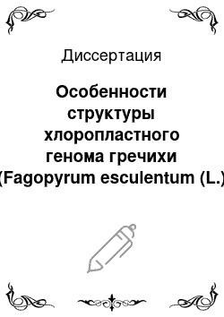 Диссертация: Особенности структуры хлоропластного генома гречихи (Fagopyrum esculentum (L.) Moench) и оценка возможности применения кодирующих и некодирующих хлоропластных последовательностей в филогенетическом анализе