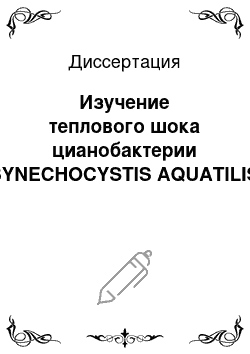Диссертация: Изучение теплового шока цианобактерии SYNECHOCYSTIS AQUATILIS