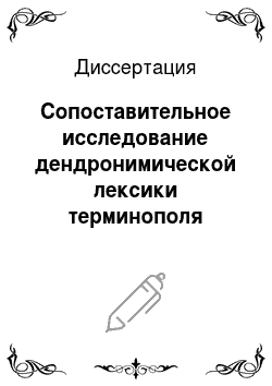 Диссертация: Сопоставительное исследование дендронимической лексики терминополя «Лес» в татарском и английском языках