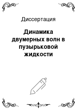 Диссертация: Динамика двумерных волн в пузырьковой жидкости