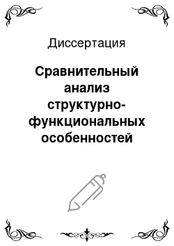 Диссертация: Сравнительный анализ структурно-функциональных особенностей глюкоамилаз из Saccharomyces cerevisiae и Aspergillus awamori