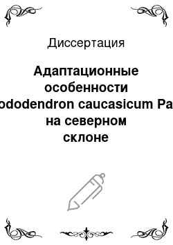 Диссертация: Адаптационные особенности Rododendron caucasicum Pall. на северном склоне Центрального Кавказа в условиях вертикальной зональности