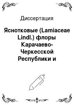 Диссертация: Яснотковые (Lamiaceae Lindl.) флоры Карачаево-Черкесской Республики и перспективы их хозяйственного использования