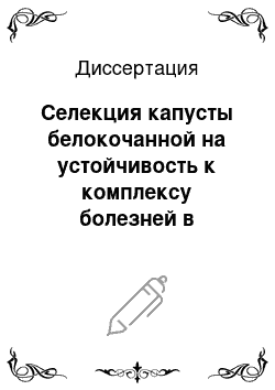 Диссертация: Селекция капусты белокочанной на устойчивость к комплексу болезней в условиях юга Западной Сибири