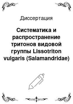 Диссертация: Систематика и распространение тритонов видовой группы Lissotriton vulgaris (Salamandridae)