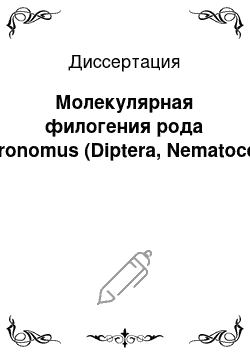 Диссертация: Молекулярная филогения рода Chironomus (Diptera, Nematocera)