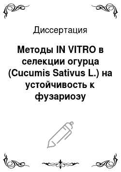 Диссертация: Методы IN VITRO в селекции огурца (Cucumis Sativus L.) на устойчивость к фузариозу