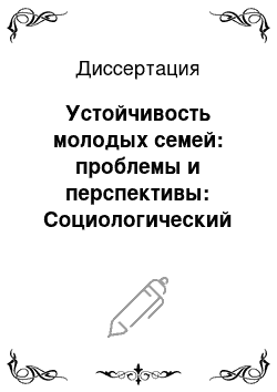 Диссертация: Устойчивость молодых семей: проблемы и перспективы: Социологический анализ