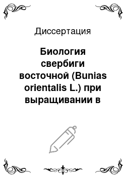 Диссертация: Биология свербиги восточной (Bunias orientalis L.) при выращивании в подзоне средней тайги Республики Коми