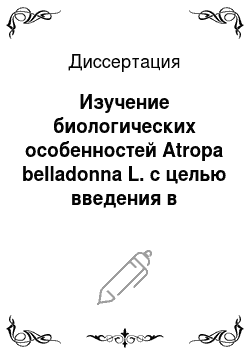 Диссертация: Изучение биологических особенностей Atropa belladonna L. с целью введения в культуру в Центрально-черноземном регионе России