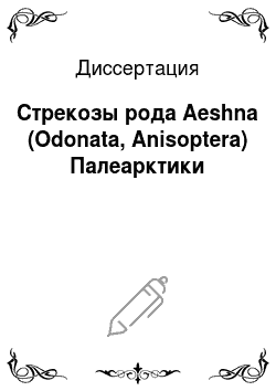 Диссертация: Стрекозы рода Aeshna (Odonata, Anisoptera) Палеарктики