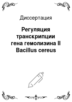 Диссертация: Регуляция транскрипции гена гемолизина II Bacillus cereus