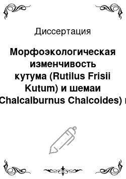 Диссертация: Морфоэкологическая изменчивость кутума (Rutilus Frisii Kutum) и шемаи (Chalcalburnus Chalcoides) в реках западной части Среднего Каспия