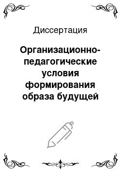 Диссертация: Организационно-педагогические условия формирования образа будущей профессии у студентов специальностей экономического профиля