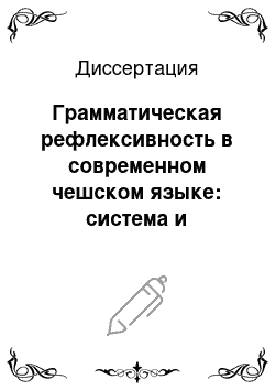 Диссертация: Грамматическая рефлексивность в современном чешском языке: система и функционирование